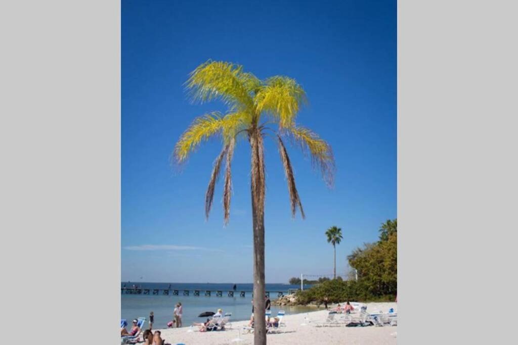 Bay View, Studio206, Beach Steps Away! Pool+Wifi رسكن المظهر الخارجي الصورة